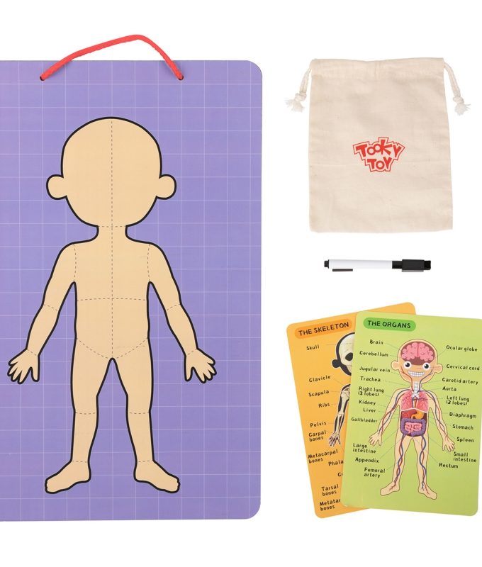 Tooky Toy Montessori magnetinis galvosūkis žmogaus anatomija
